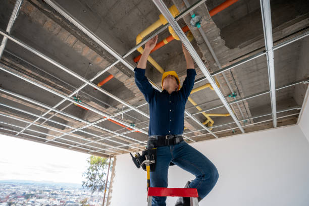 Best Local Plumber Services  in Kissee Mills, MO